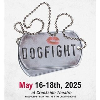 25 05 16 Dogfight 320