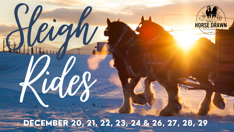 Horse Drawn Okanagan Sleigh Ride