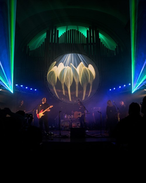 PIGS: Canada's Pink Floyd