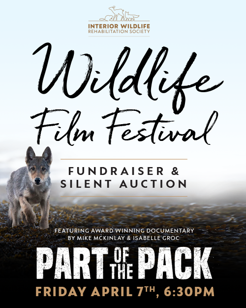 Wildlife Film Festival & Fundraiser